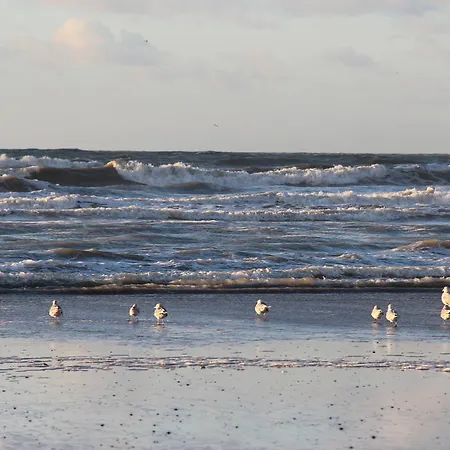 아파트 Plaisirs Du Bord De Mer *
