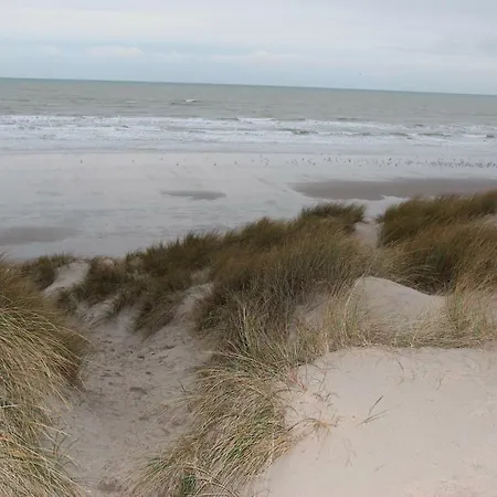 Plaisirs Du Bord De Mer