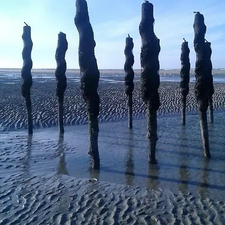 아파트 Plaisirs Du Bord De Mer 카미에르