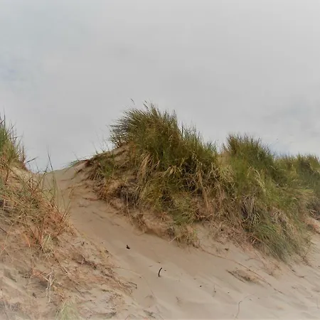 Plaisirs Du Bord De Mer *