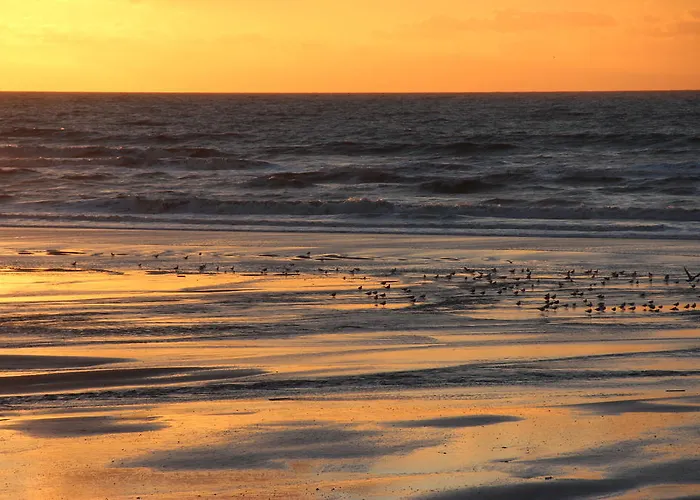 Plaisirs Du Bord De Mer