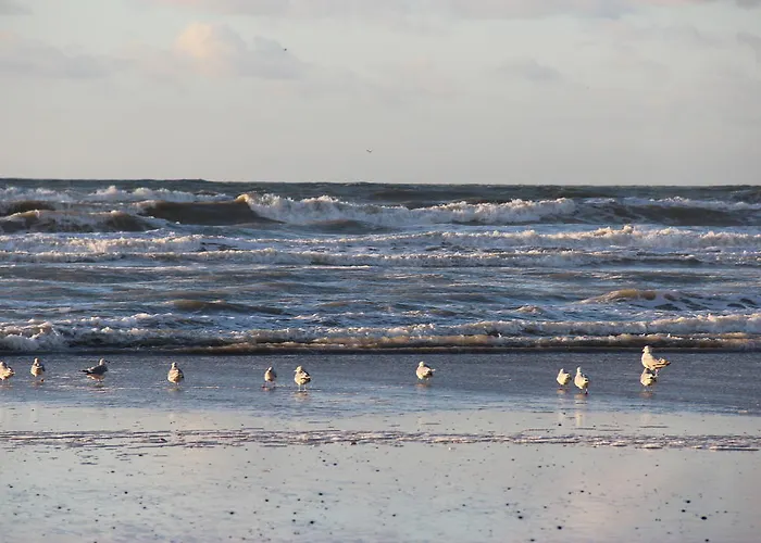 Apartamento Plaisirs Du Bord De Mer *