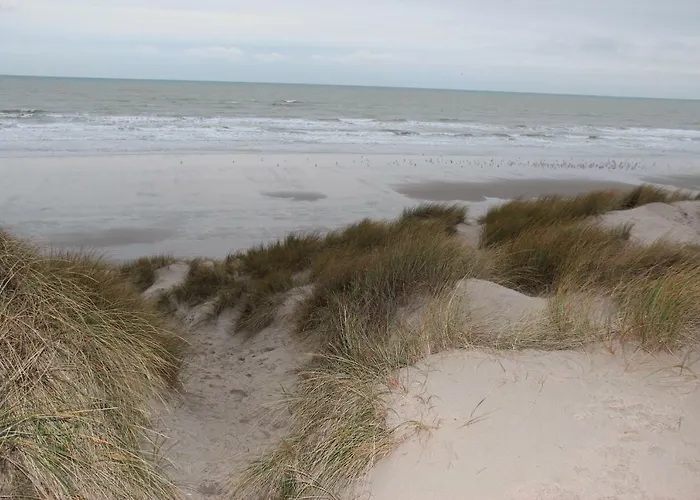 Plaisirs Du Bord De Mer