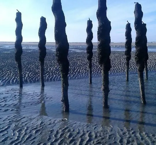 Apartamento Plaisirs Du Bord De Mer Camiers