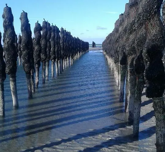 Plaisirs Du Bord De Mer Apartamento