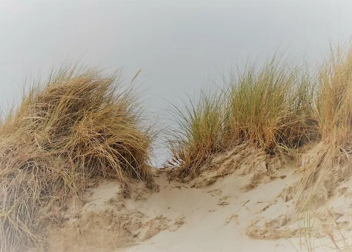 Plaisirs Du Bord De Mer Apartamento