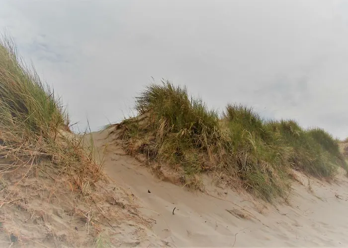 Plaisirs Du Bord De Mer *